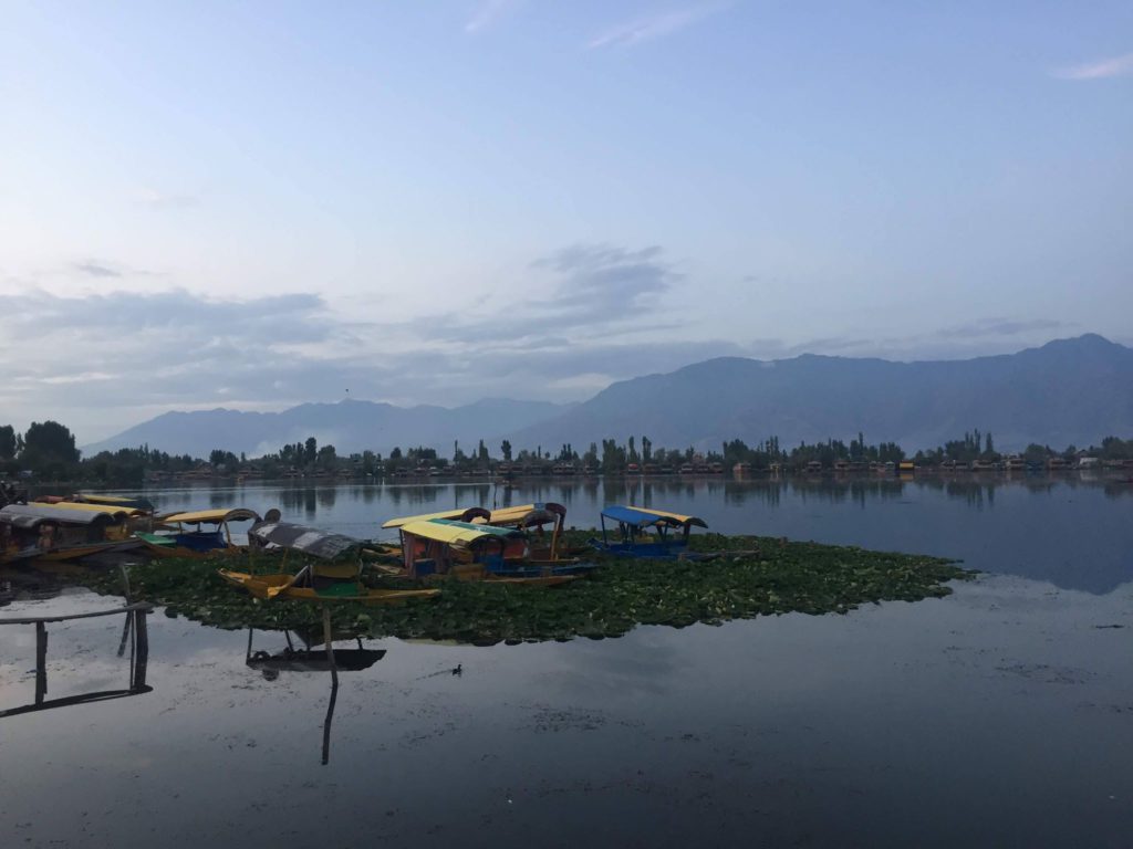 Deserted Dal Lake that's normally crowded with boats and tourists.